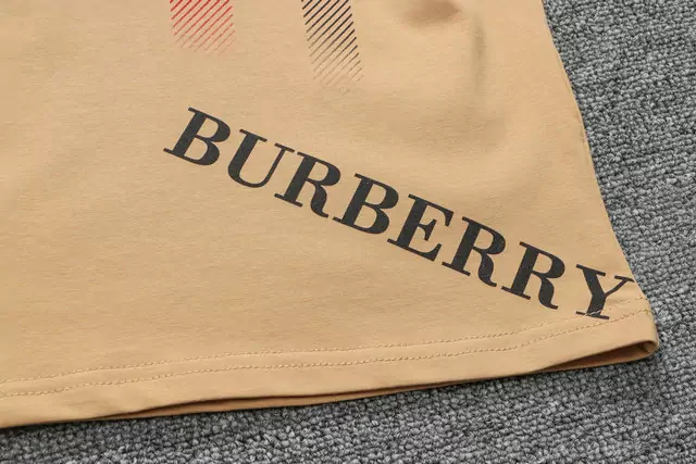 burberry t-shirt design pour hommes col-v black